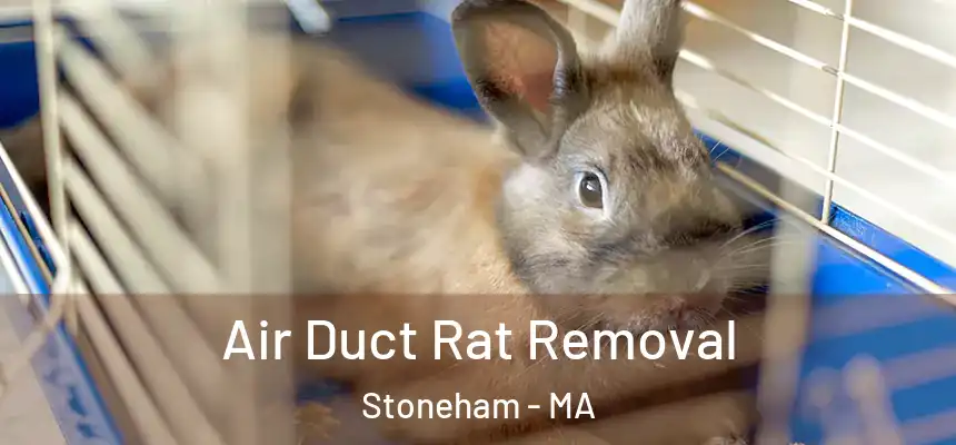  Air Duct Rat Removal Stoneham - MA