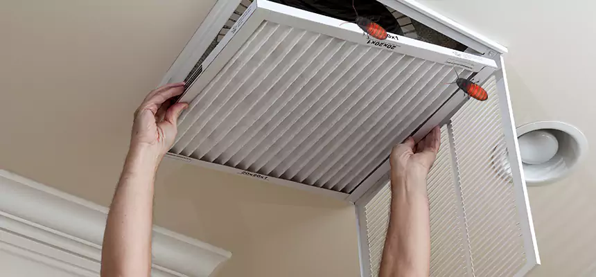 Preventive Cockroach-Proofing for Ducts in Stoneham