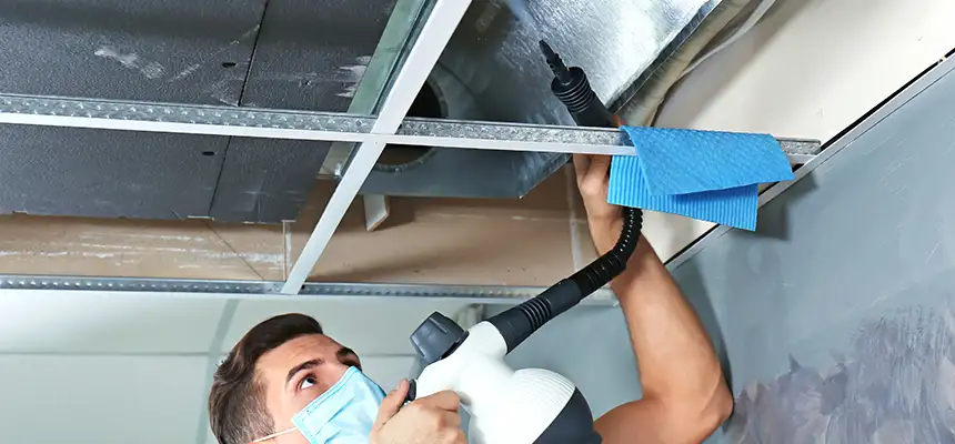 Our Air Duct Rodent Removal Services in Stoneham, MA