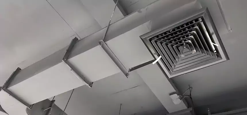 Restorative Allergy Relief Vent Cleaning – Coil, Blower & Housing Detail in Stoneham