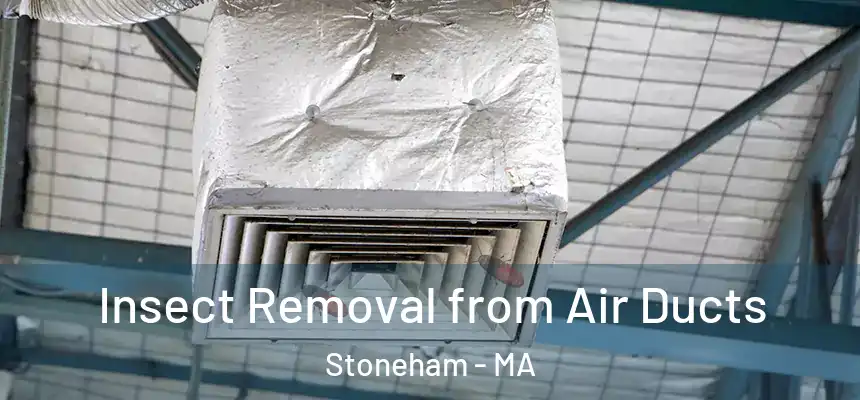  Insect Removal from Air Ducts Stoneham - MA