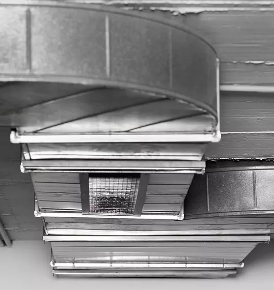 Professional Air Duct Pest Removal in Stoneham, MA