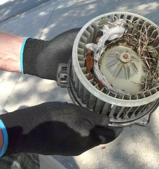 About Air Duct Rat Removal in Stoneham, MA